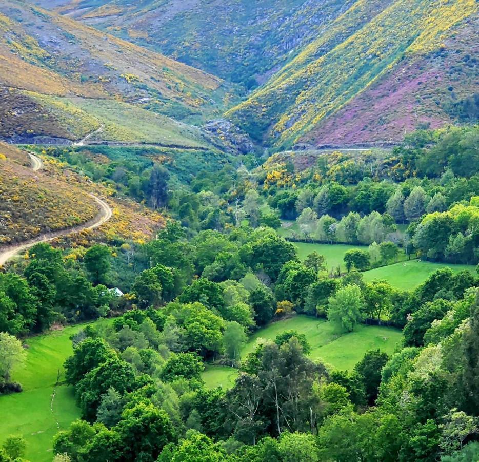 Casa Da Torre - Paraiso No Norte De Portugal Cabeceiras de Basto Εξωτερικό φωτογραφία